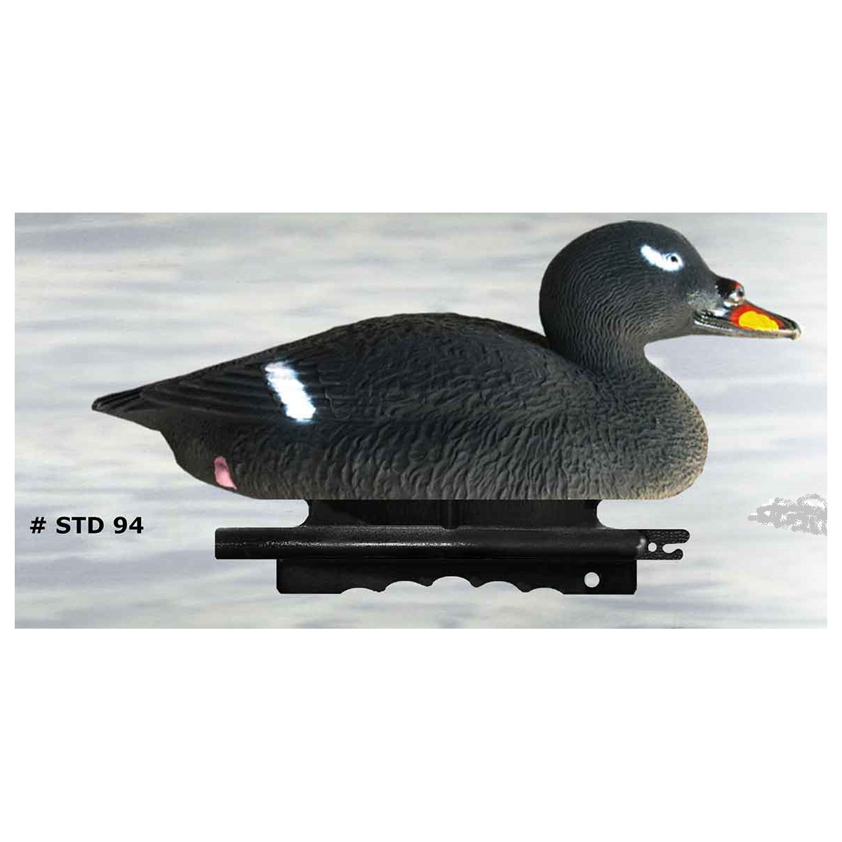 Common scoter from Sport Plast