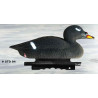 Common scoter from Sport Plast