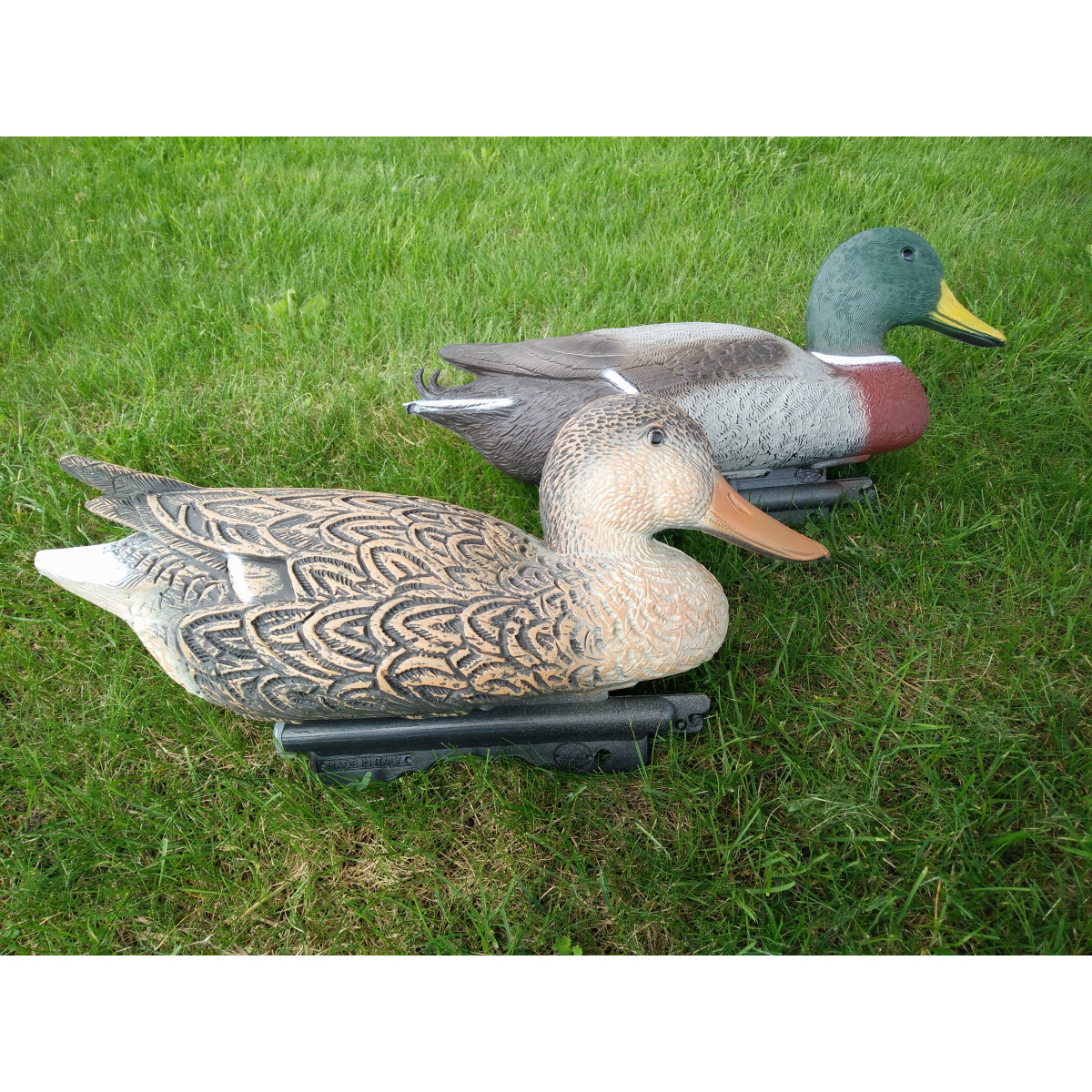 Hot Buy Mallards from Sport Plast