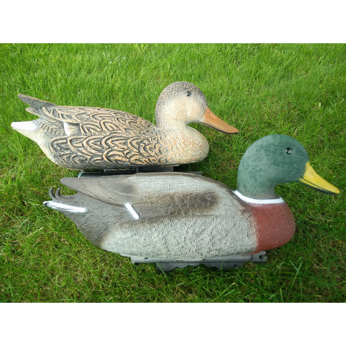 Hot Buy Mallards from Sport Plast