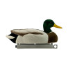 Mallard Fullyflocked Drake Combo Pack