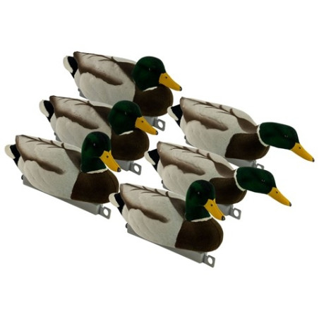 Mallard Fullyflocked Drake Combo Pack