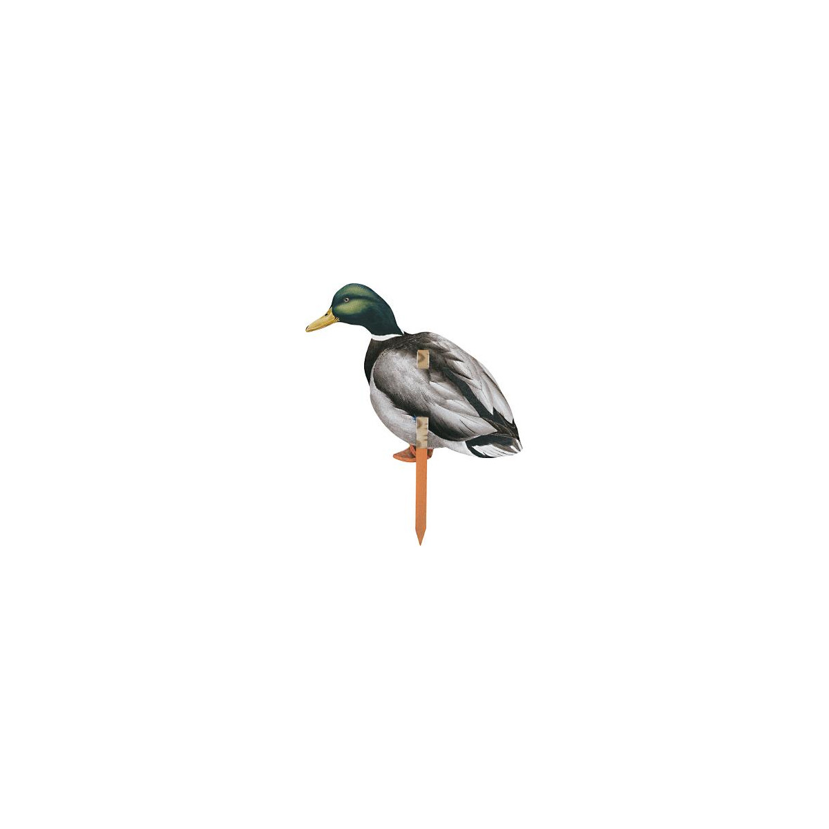 Mallards Goose RealGeese 12 pc