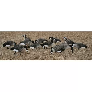 Canada Geese RealGeese 12 pc Pack