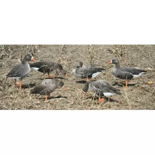 Greylarge RealGeese 12 Pc Pack