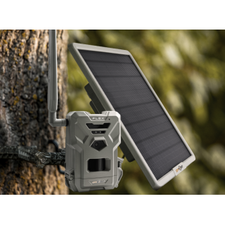 Spypoint Flex-M Solar Bundle