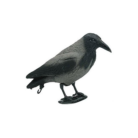 Crow