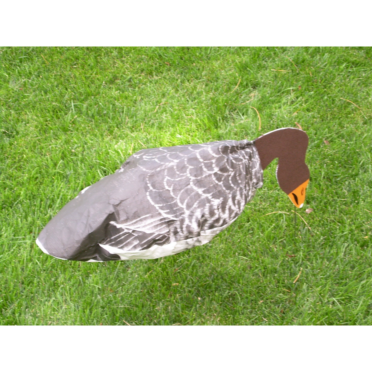 Sillosock canada hotsell goose decoys review