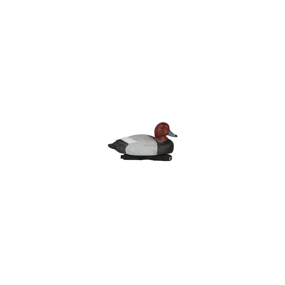 Common pochard Pro Series