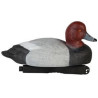 Common pochard Pro Series