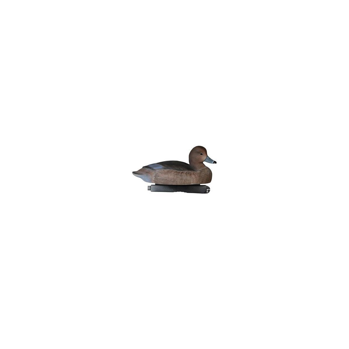 Common pochard Pro Series