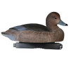 Common pochard Pro Series