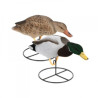 Fullbody Fullyv Flockede Mallards