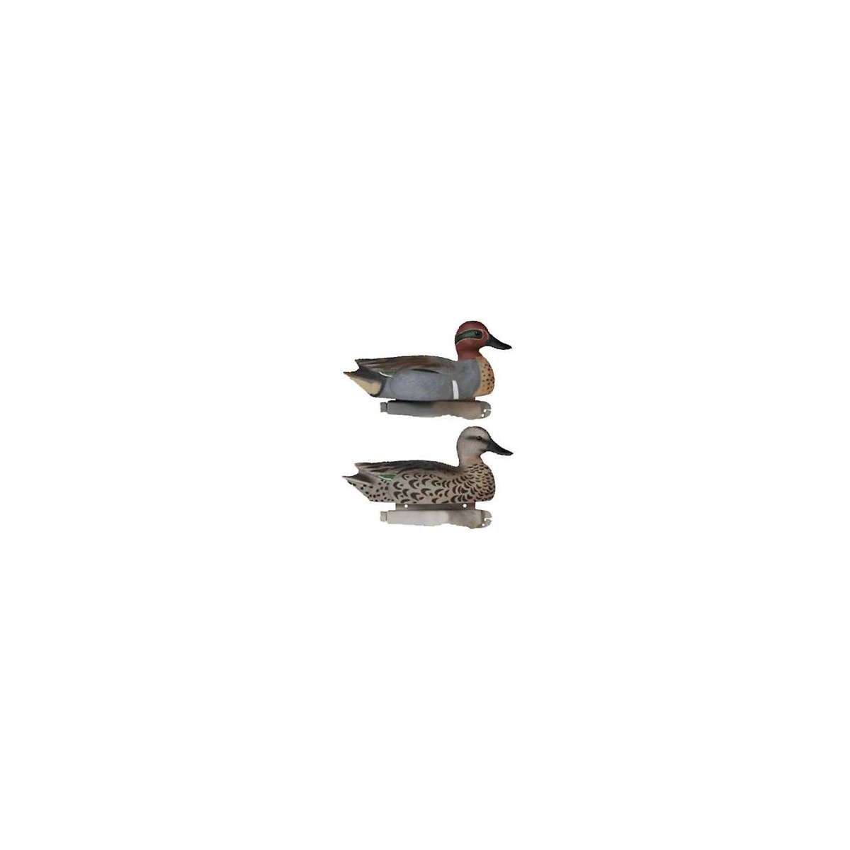 Green Wing Teal from Tanglefree