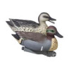 Green Wing Teal from Tanglefree