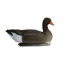 4 pack Pack Floating Greylag